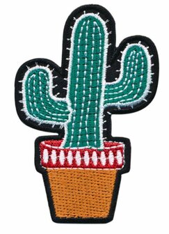 cactus 8cm 