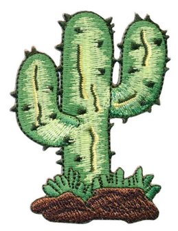 cactus 8cm 