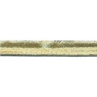 Goud 2mm paspelband