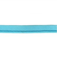 Aqua blauw 2mm paspelband