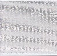 Glitter elastiek 40 mm wit zilver